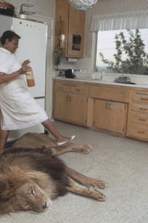 Cécile - rencontre-Black-Grenoble